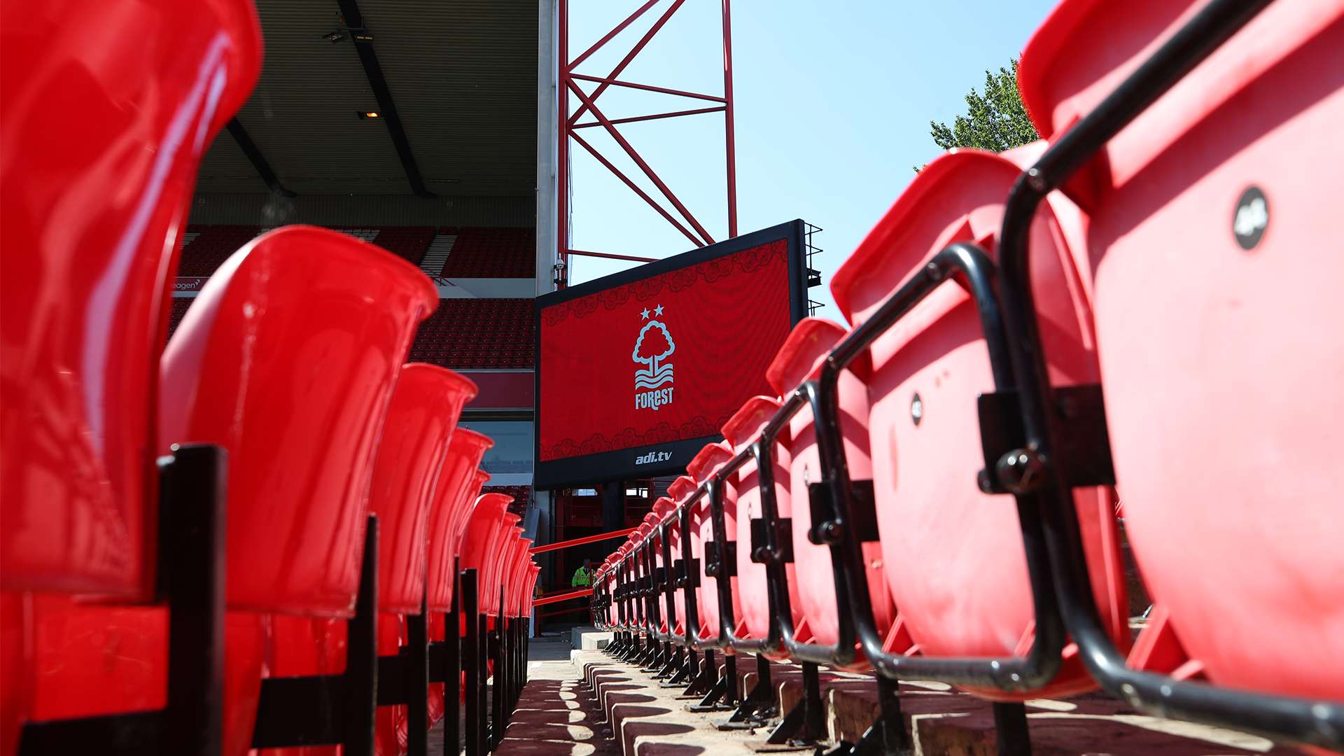 了惊人的韧 了惊人的韧