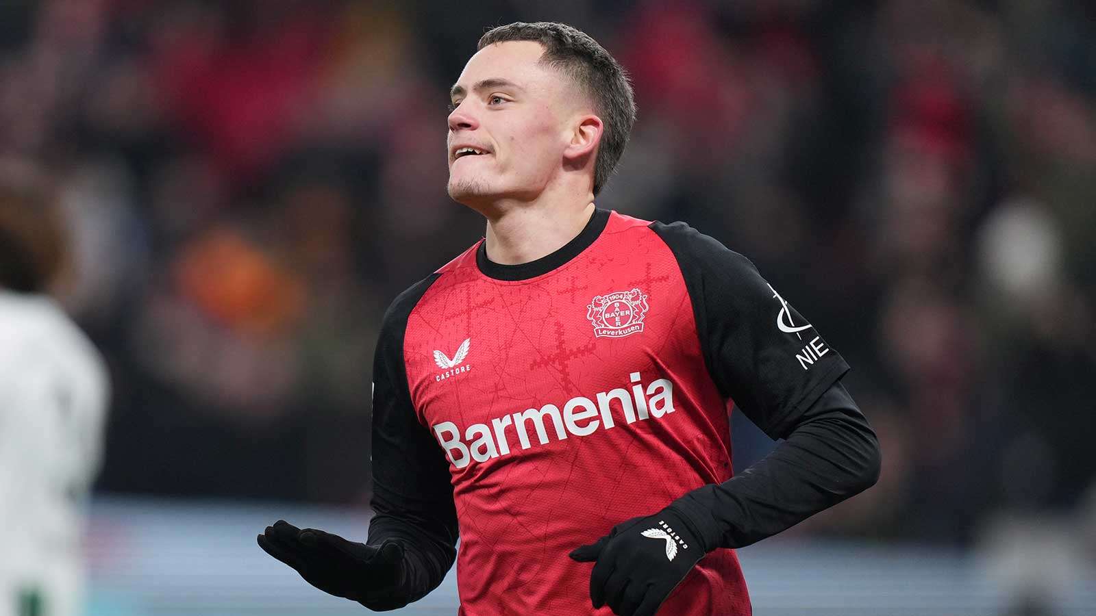 发展机遇 发展机遇